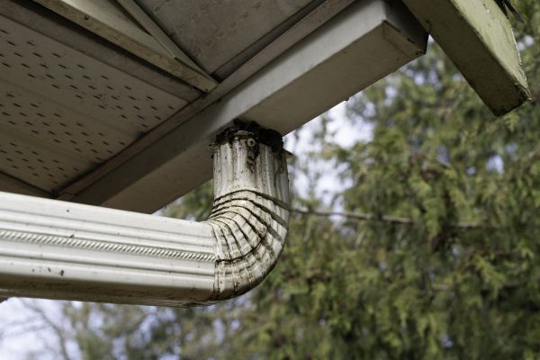 Cost of Roof Drain Replacement in Saint Cloud