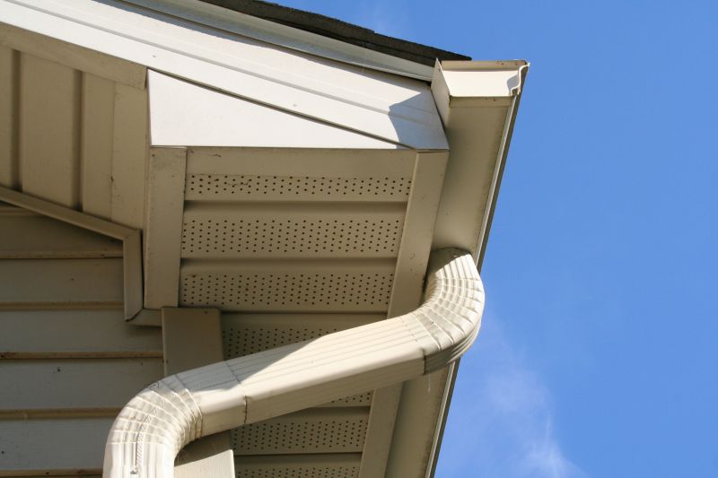 Commercial Downspout Service
