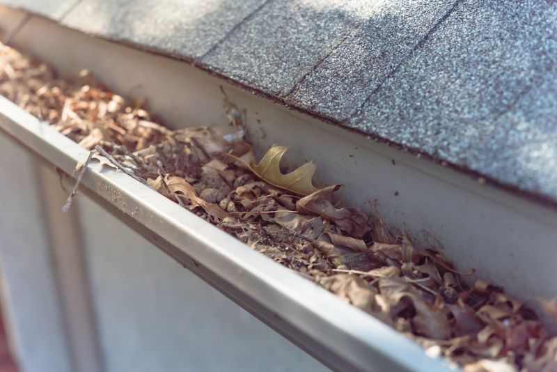 Clogged Residential Gutters