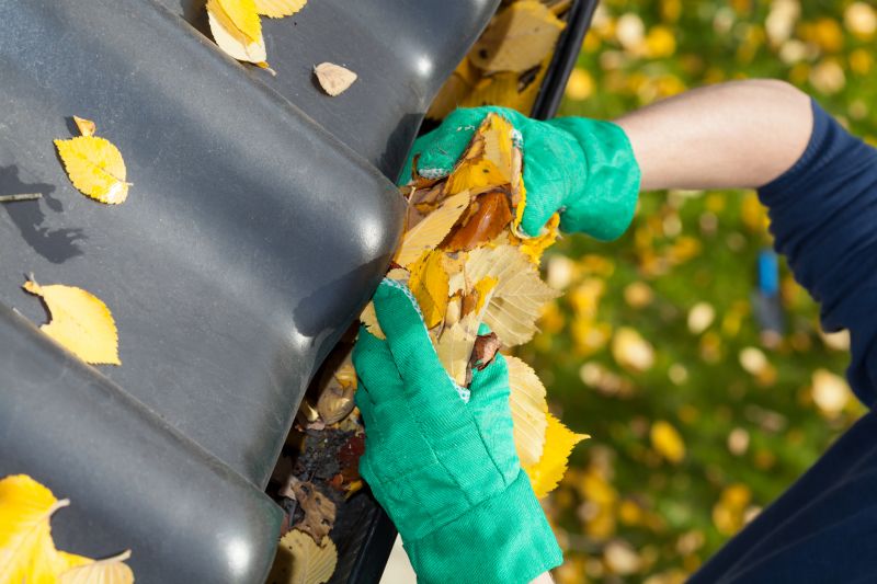 Autumn Gutter Maintenance